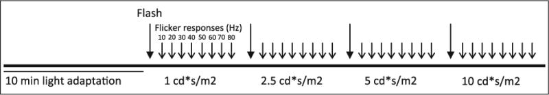 Fig. 3