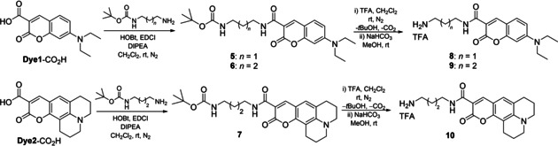 Scheme 2