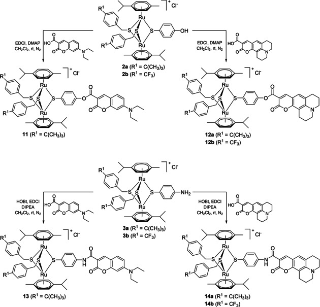 Scheme 3