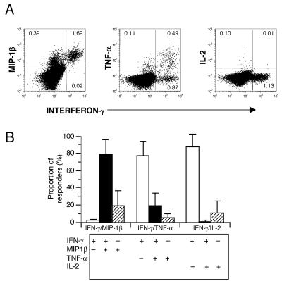 FIG. 7.