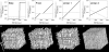 Fig. 2