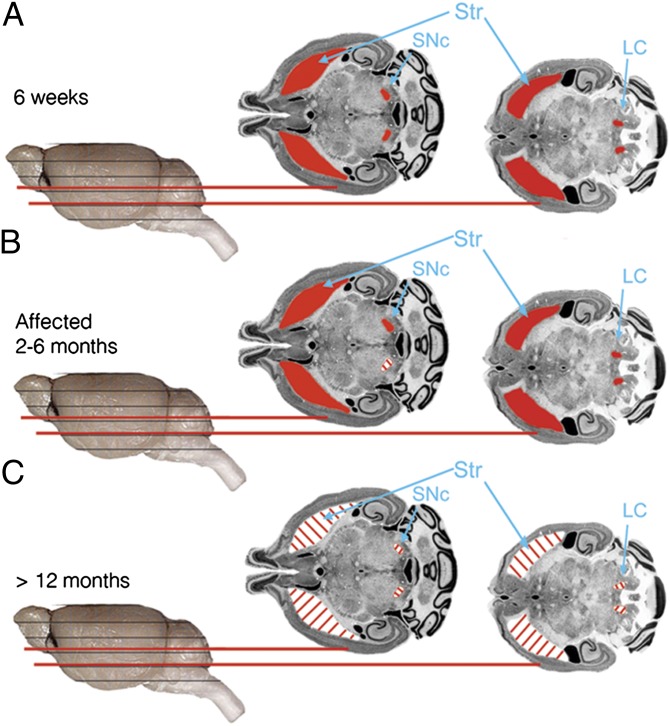 Fig. 6.