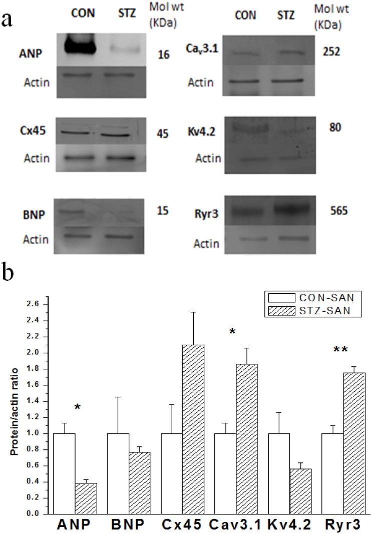 Fig 11