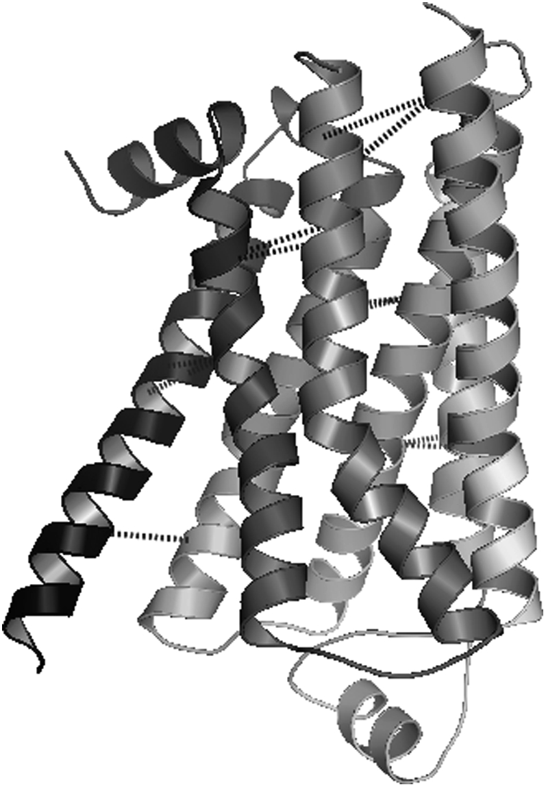 FIGURE 12