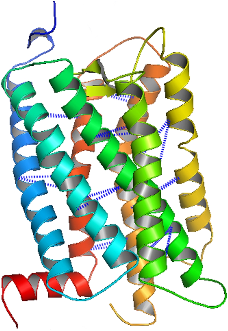 FIGURE 11