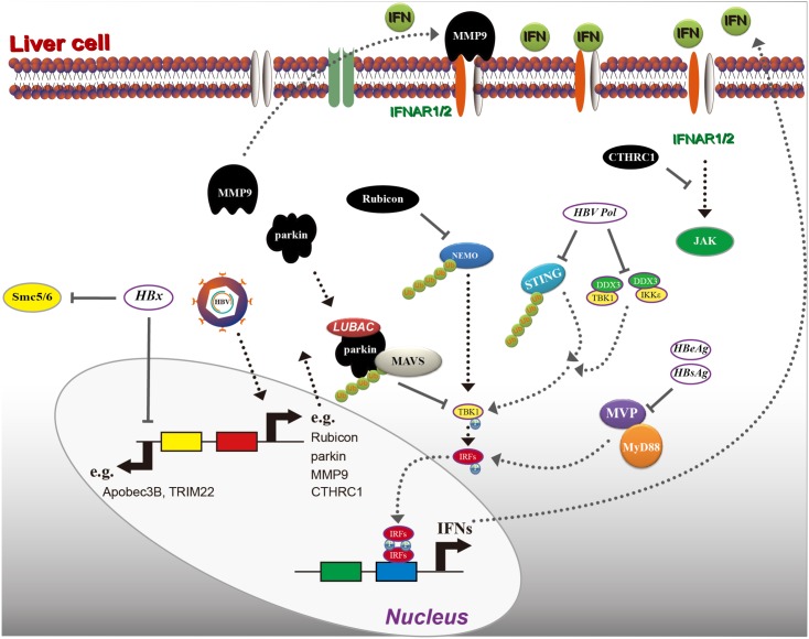 FIGURE 4