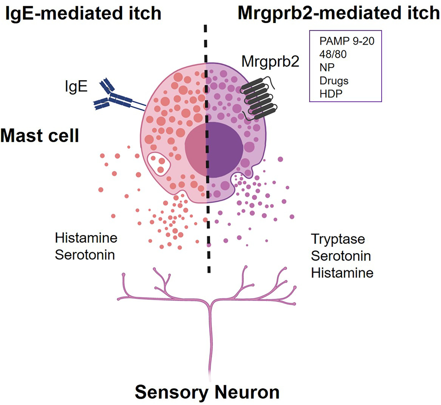 Figure 2.