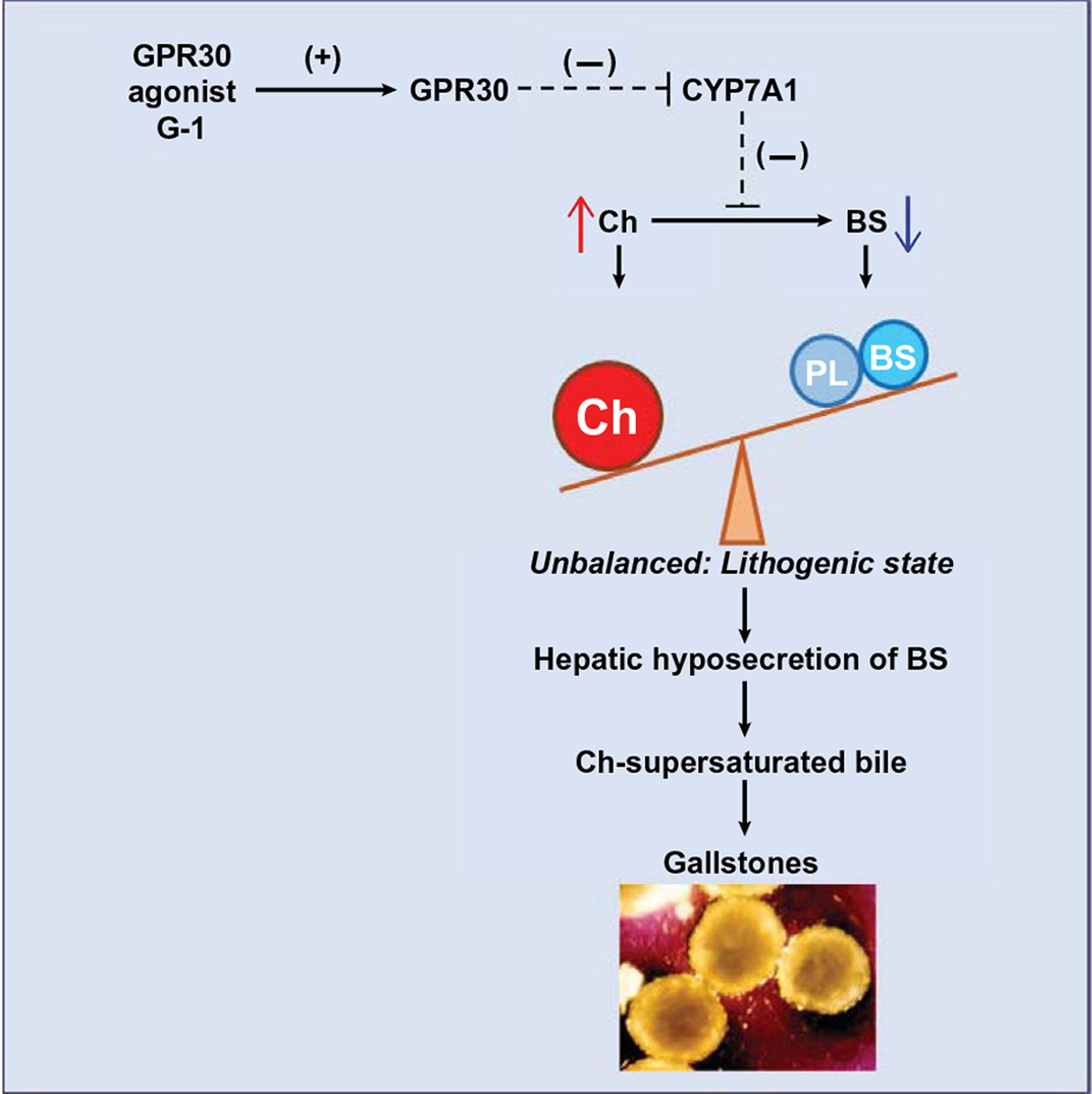 FIG. 7.