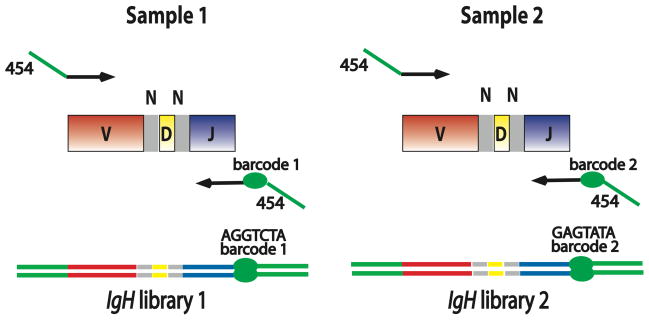 Fig. 1