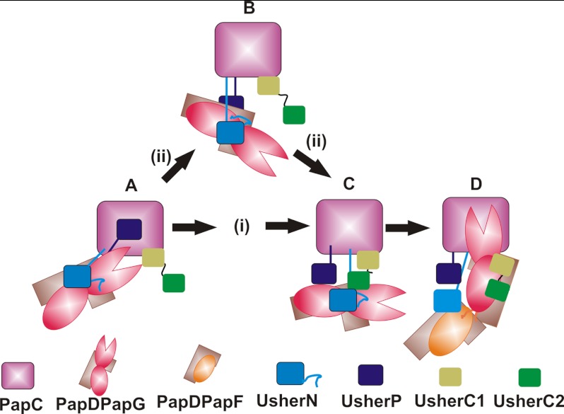 Fig. 6.