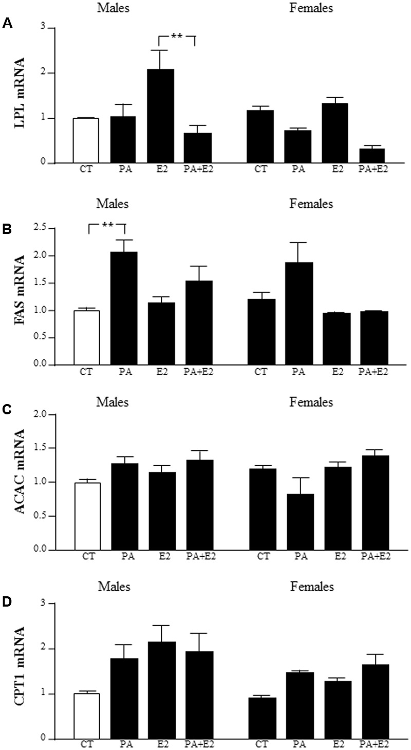 FIGURE 11