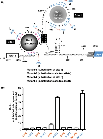 Figure 6.