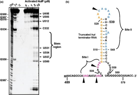 Figure 4.