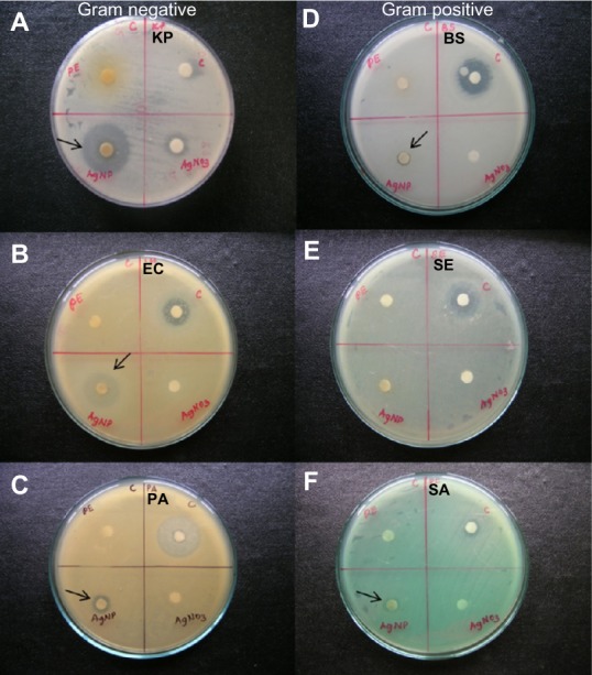 Figure 6