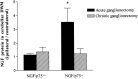 Fig. 9.