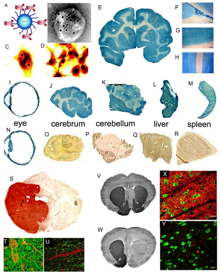 Figure 17