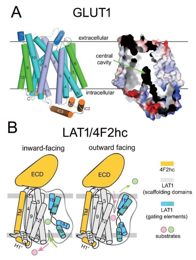 Figure 9