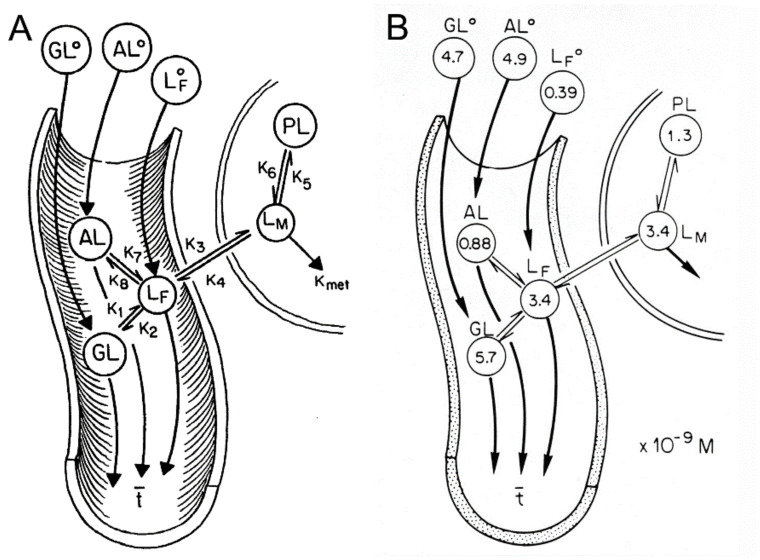 Figure 19