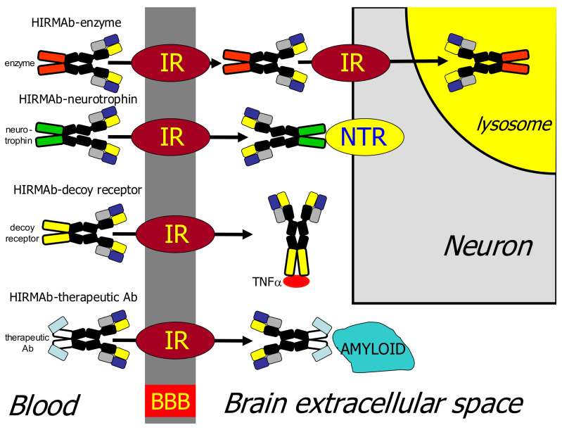 Figure 12