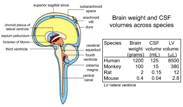 Figure 16