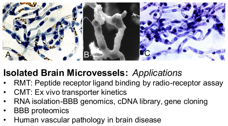 Figure 24