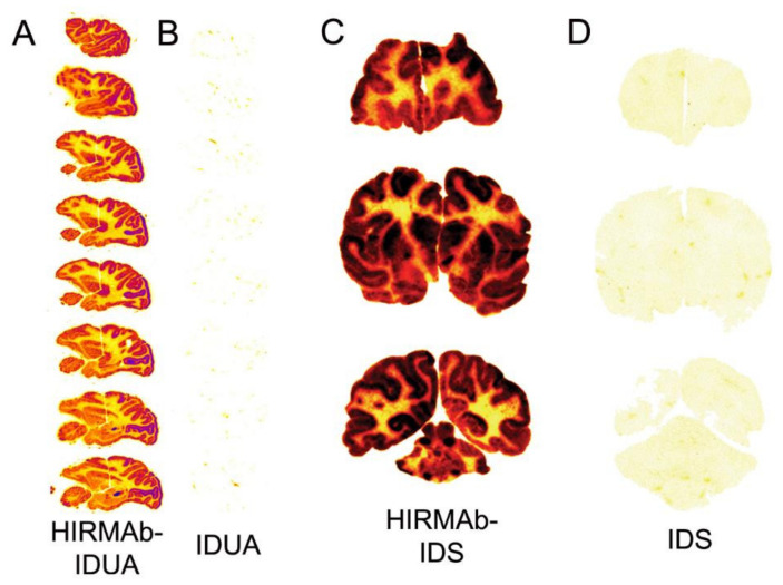 Figure 13