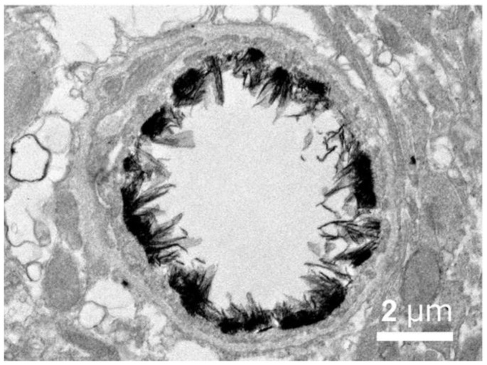 Figure 20