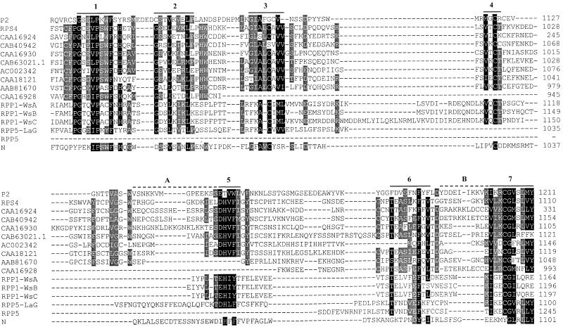 Figure 5.