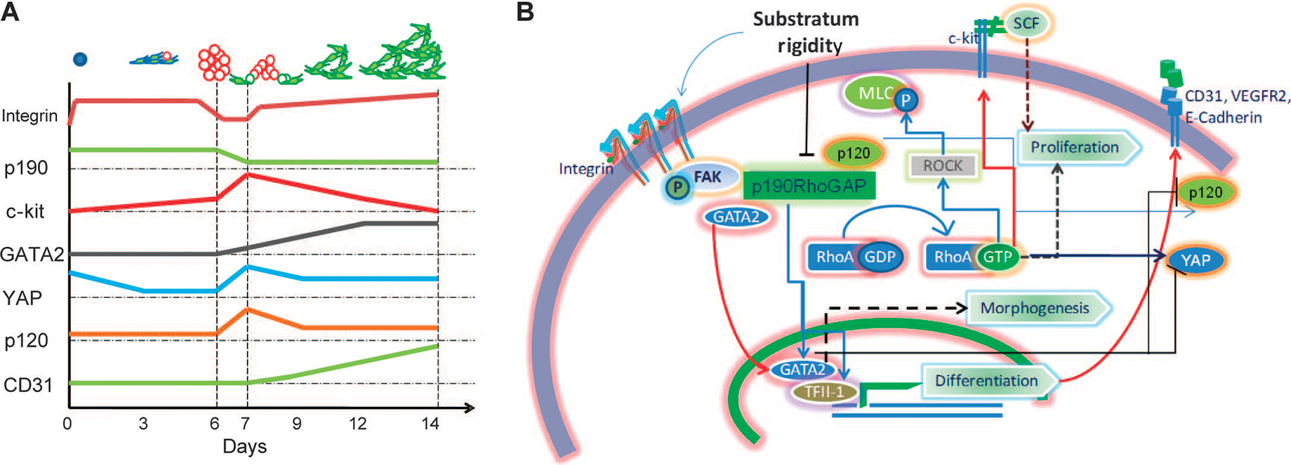 Fig. 10.