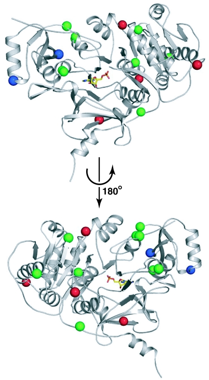 Fig. 4.