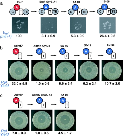 Fig. 3.