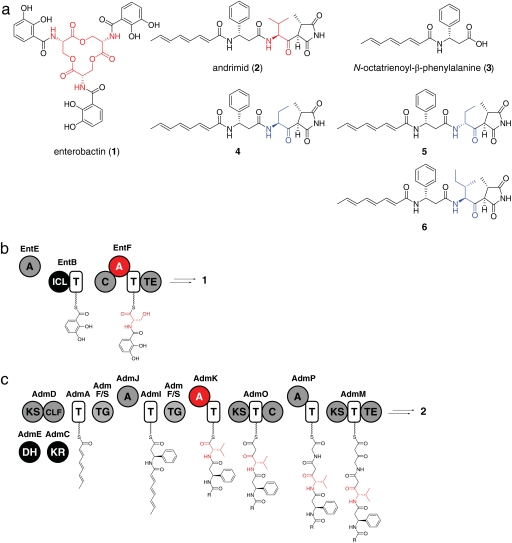 Fig. 2.