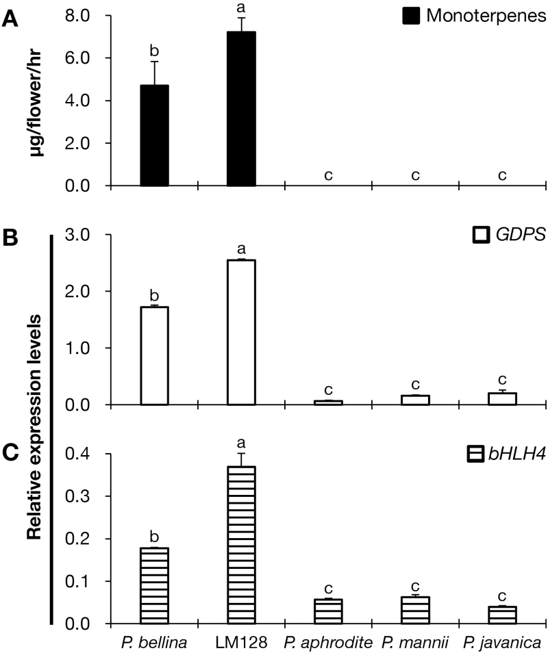 Fig. 8.