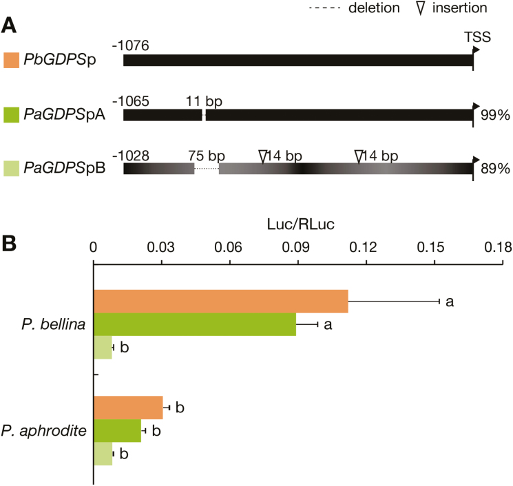 Fig. 3.