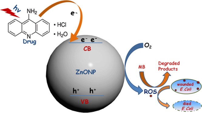 graphic file with name ao-2018-00568a_0010.jpg