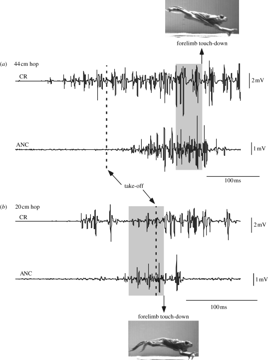 Figure 1.