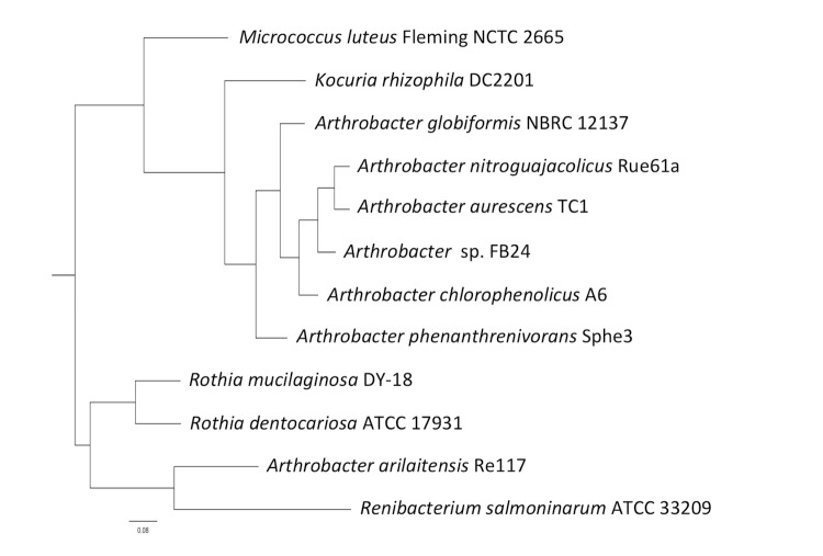 Figure 5