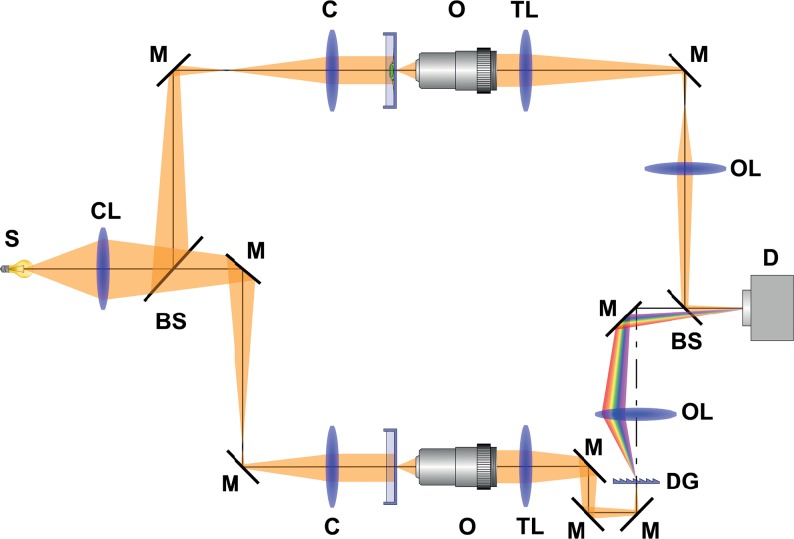 Fig 1