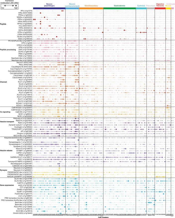 Extended Data Fig. 5