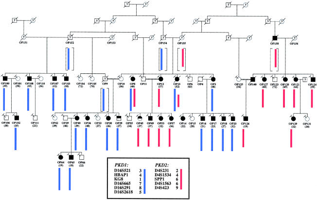 Figure  1