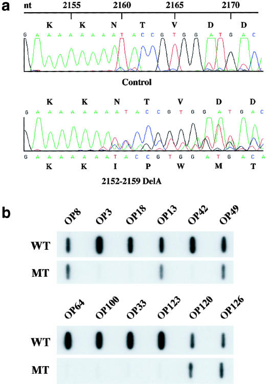 Figure  2