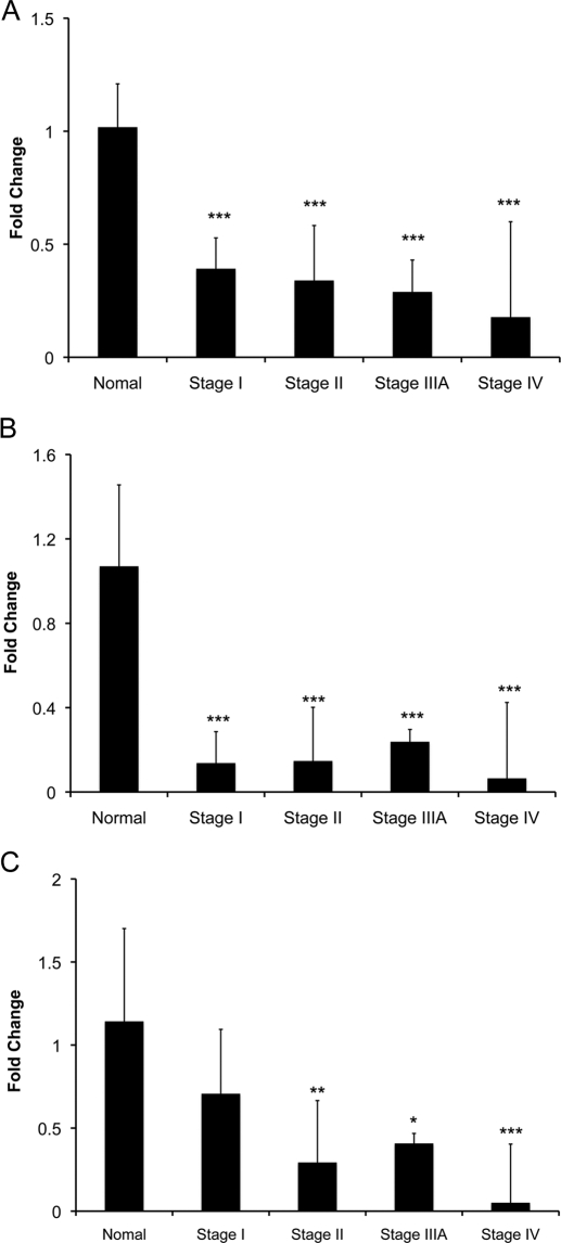 Fig. 7.