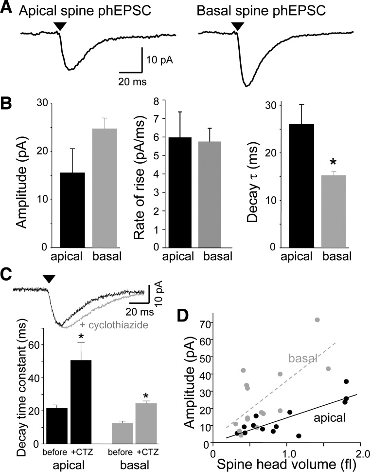 Fig. 4.