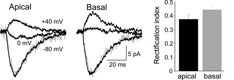 Fig. 5.