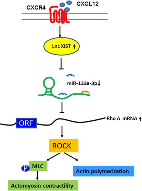 Fig. 9