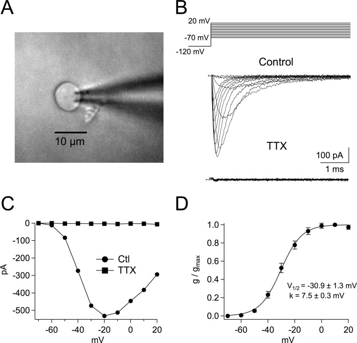 Figure 1.