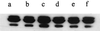 FIG. 9