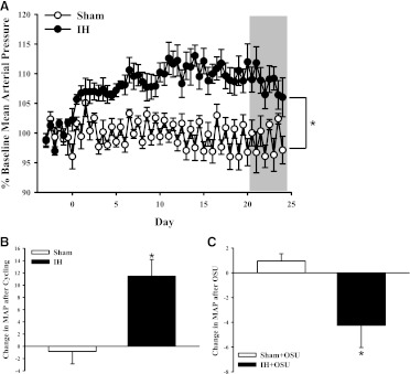 Fig. 8.