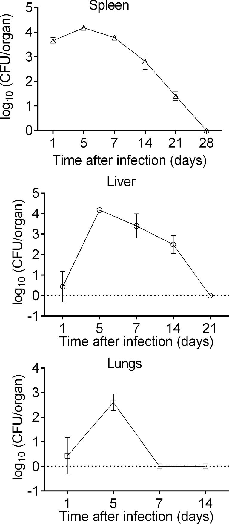 Figure 5.