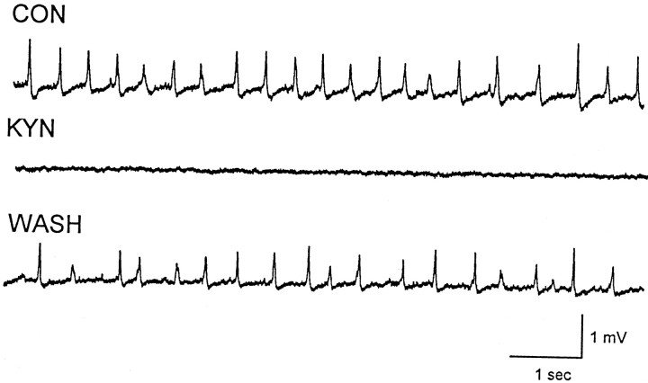 Fig. 8.